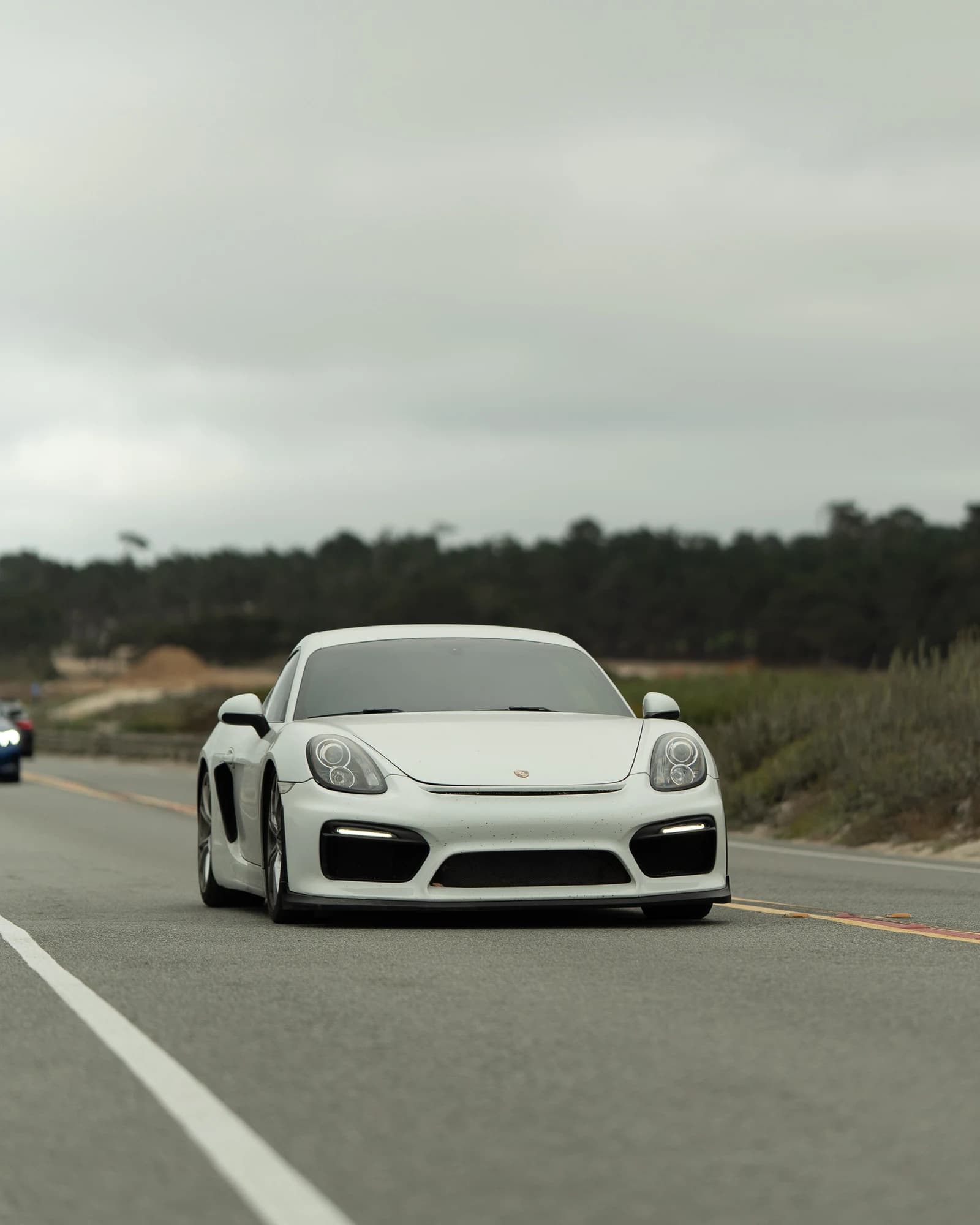 Automotive — white on white
